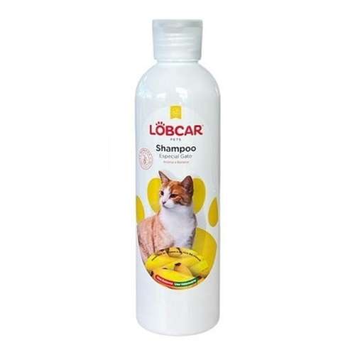 Shampoo especial gatos