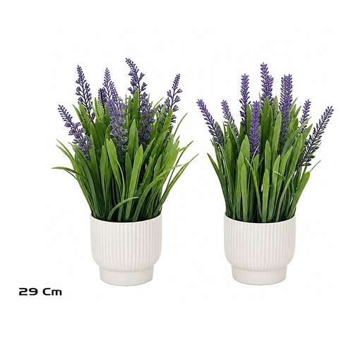 Lavanda em Vaso de Cerâmica