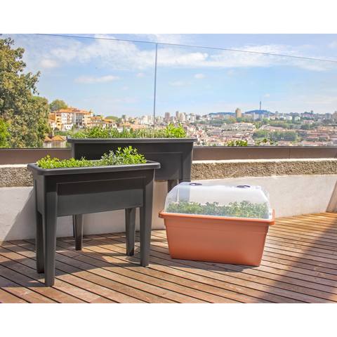Horta Venezia 100